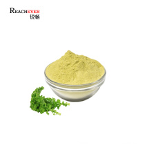 Factory Supply Kale Leaf Extract Organic Brassica Oleracea Extract Powder Price in Bulk